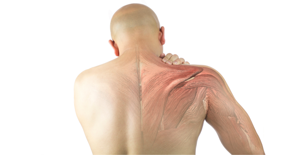 Artrosis de Hombro: Entendiendo la Osteoartritis Glenohumeral